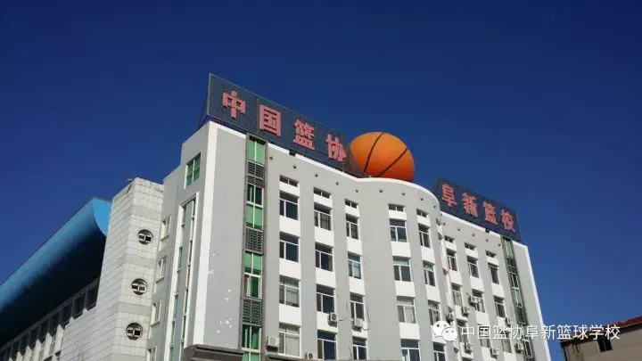 哪里能找到一对一的篮球训练指导_2